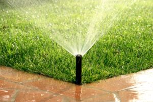 lawn irrigation services